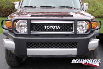 Real Wheels Custom Brush Guard With Extensions - Click Image to Close