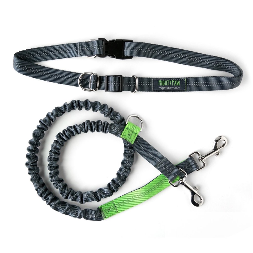 Mighty Paw Hands Free Bungee Leash Set - Click Image to Close