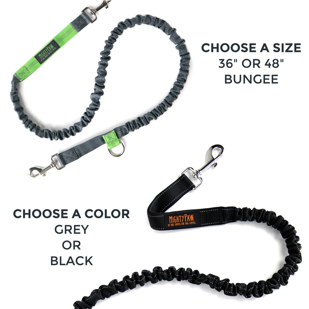 Mighty Paw Hands Free Bungee Leash Set - Click Image to Close