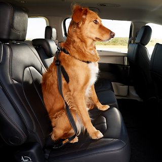 Mighy Paw Vehicle Safety Belt for Fido - Click Image to Close